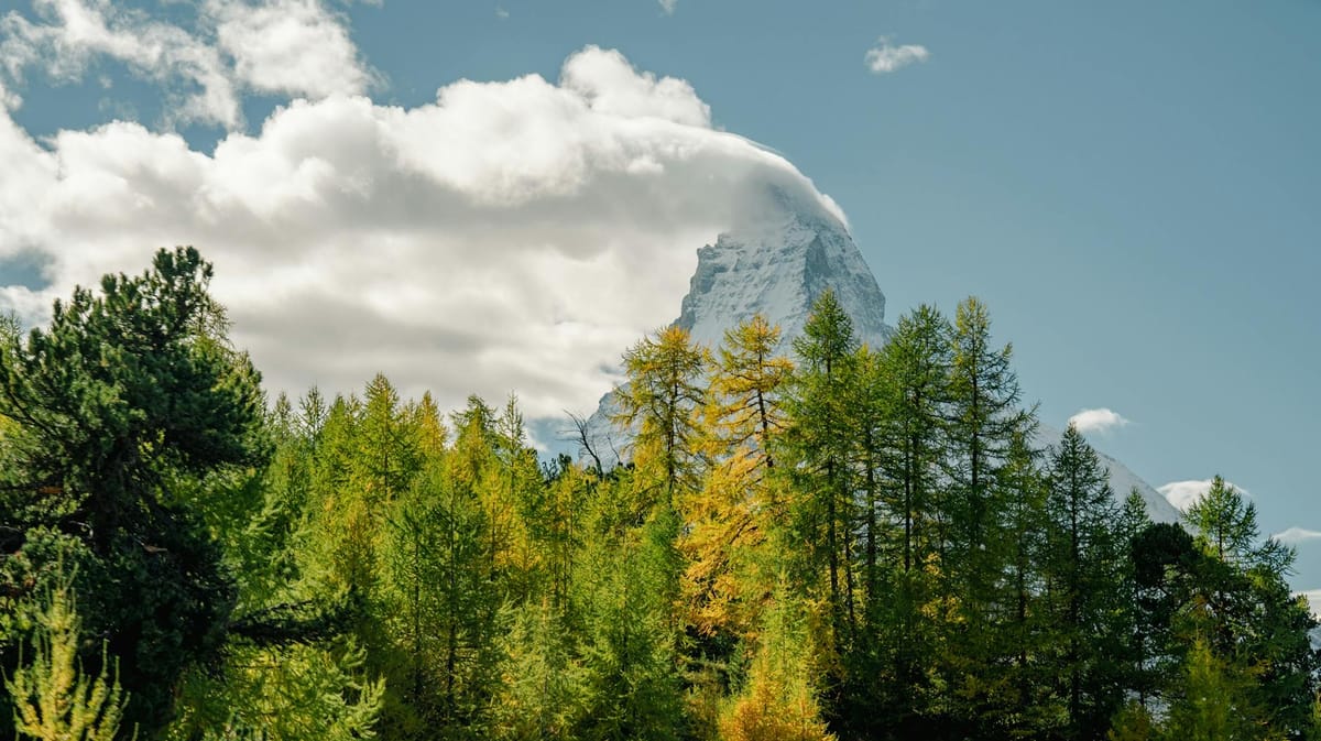 Ahrefs vs Moz 2026: The Complete Guide