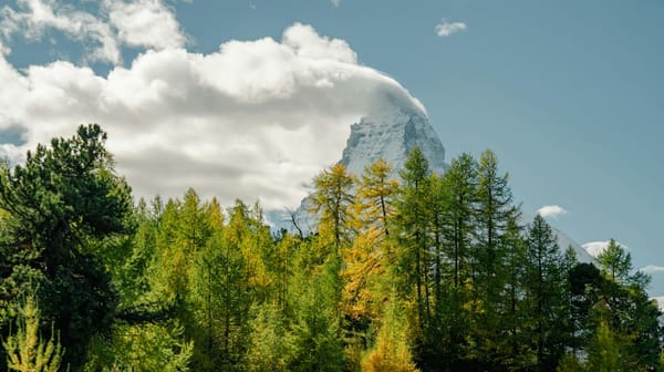 Ahrefs vs Moz 2026: The Complete Guide